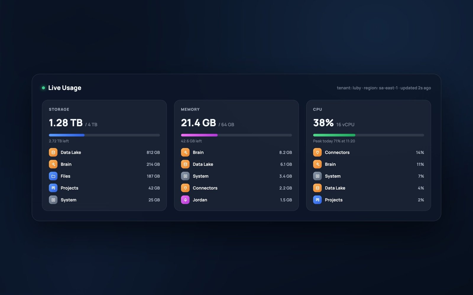 The client's live usage panel, showing storage, memory and CPU with consumption attributed to each application.